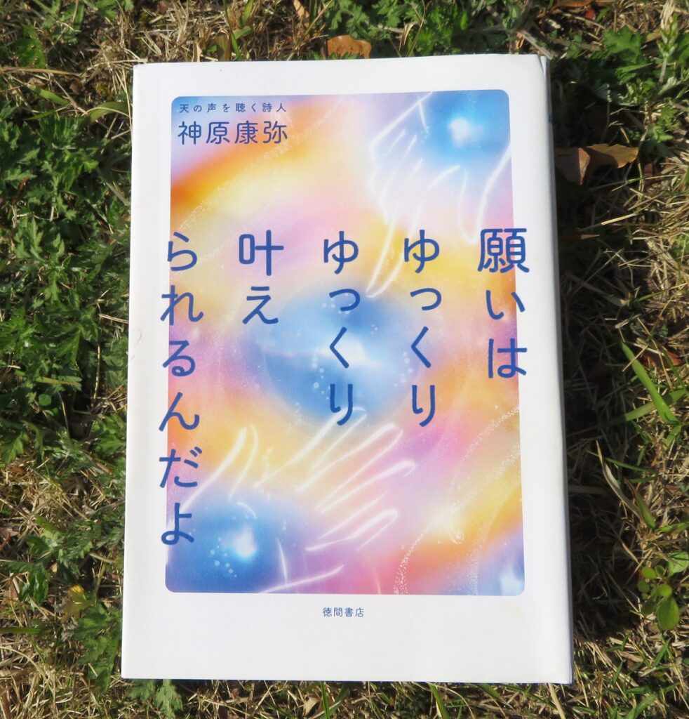 『願いはゆっくりゆっくり叶えられるんだよ』【録音図書】