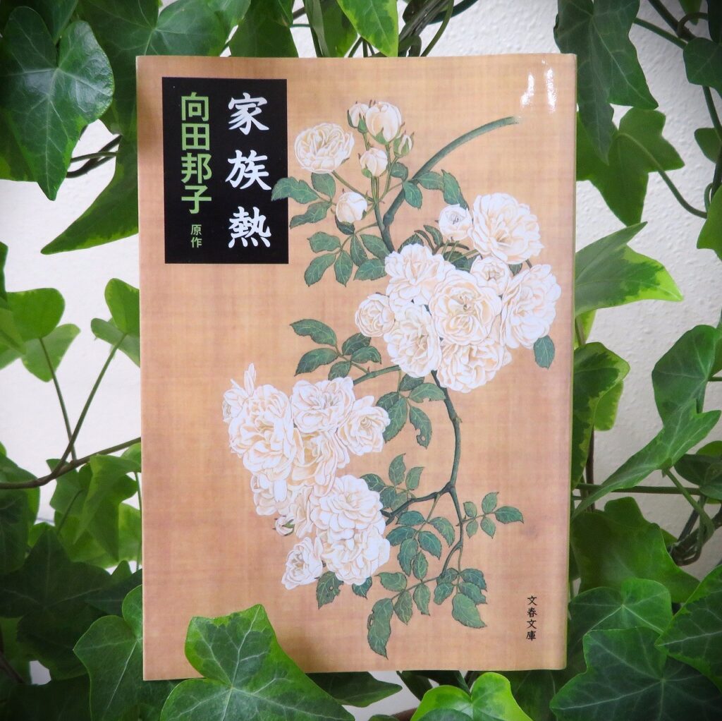 『家族熱』【点字図書】