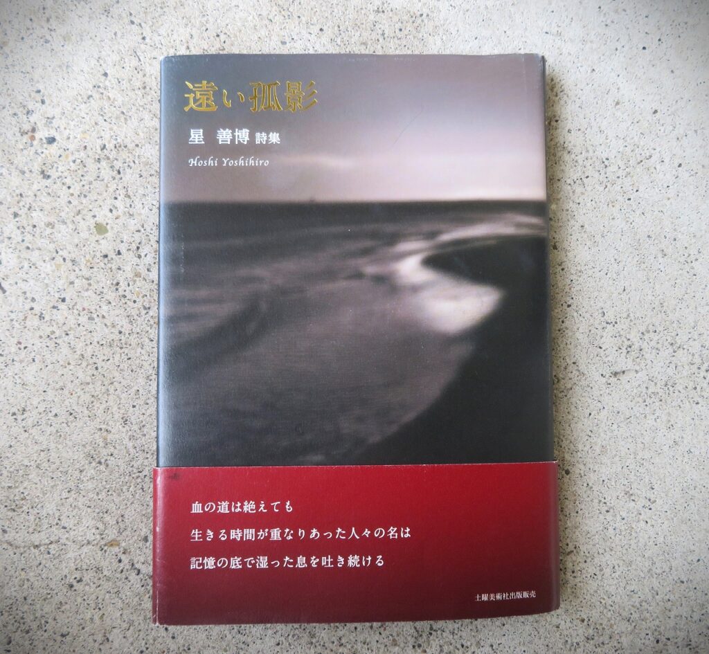 『遠い孤影　星善博詩集』【点字図書】