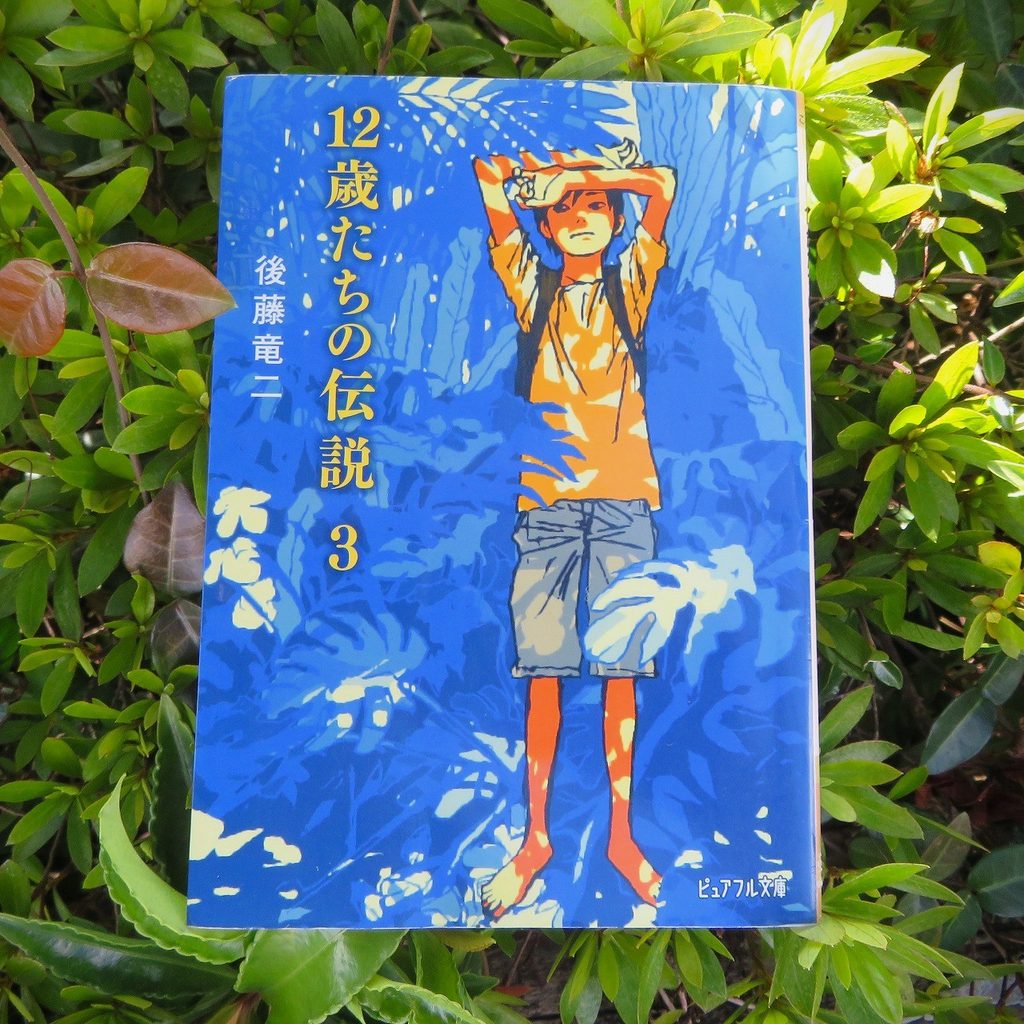 『１２歳たちの伝説　３』【点字図書】