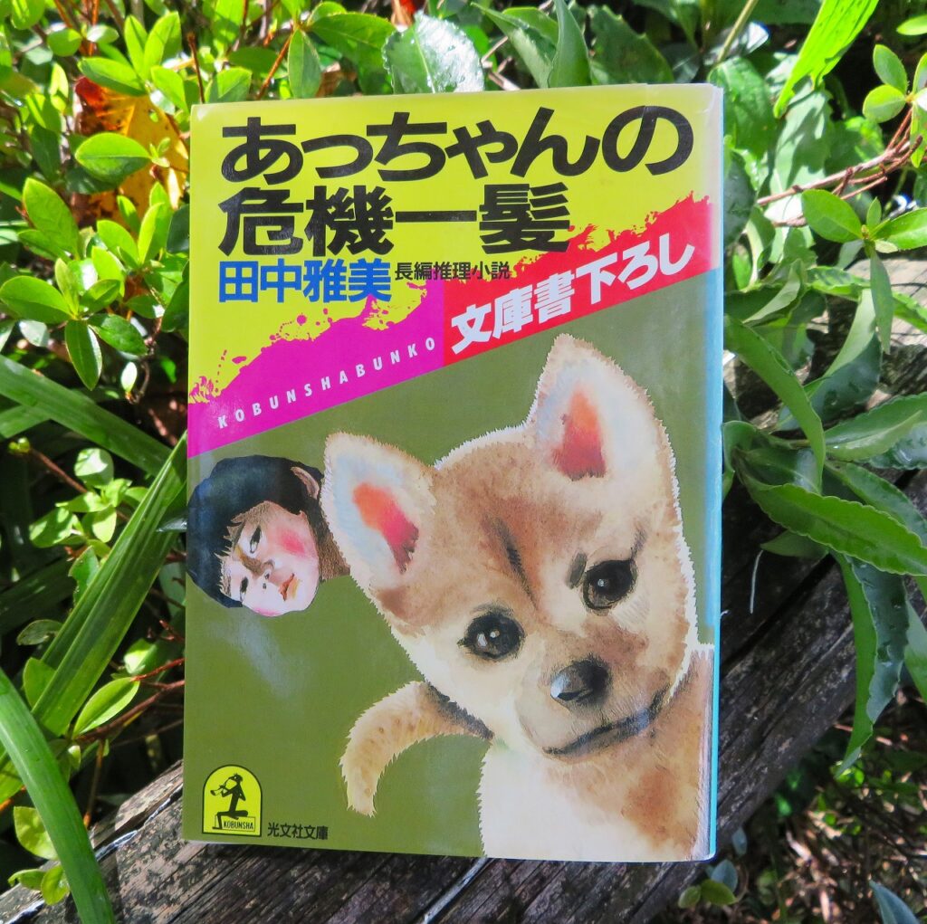 『あっちゃんの危機一髪』【点字図書】